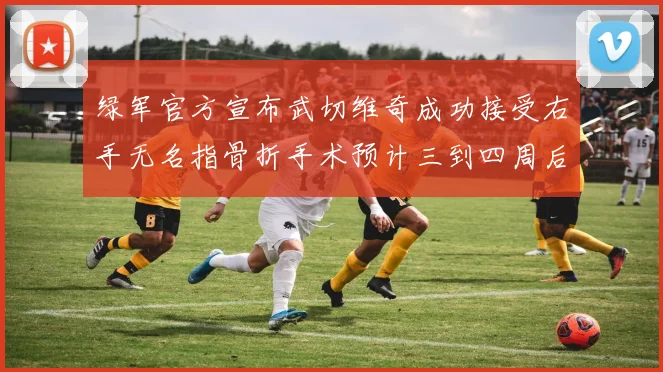 绿军官方宣布武切维奇成功接受右手无名指骨折手术预计三到四周后复查