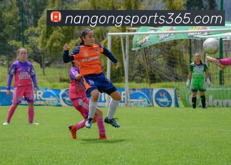 南宫体育平台生态图