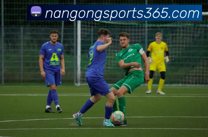 南宫体育APP 封面图